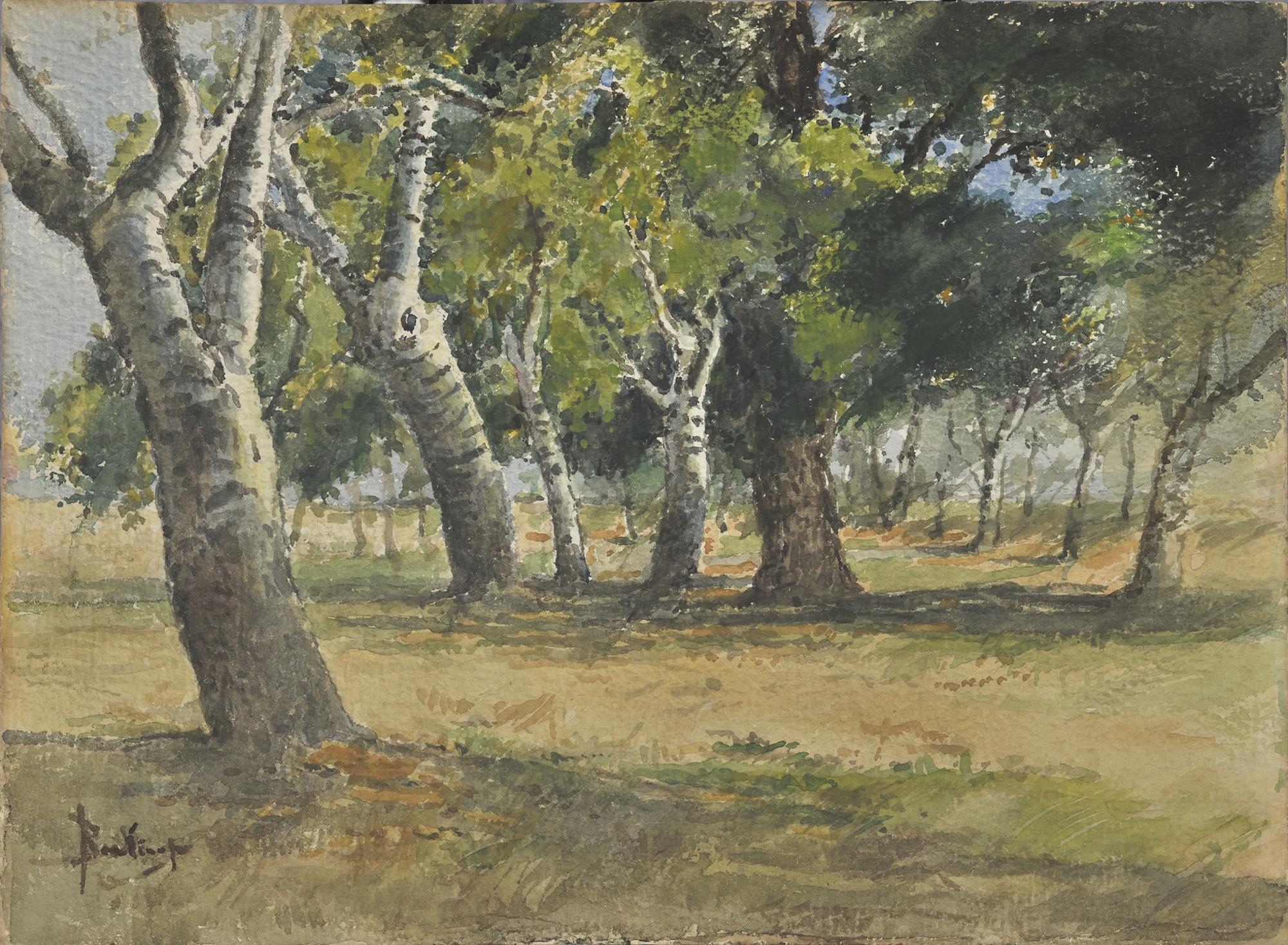 Olive Trees on Corfu - National Gallery