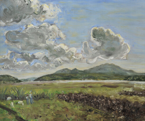 Zavitzianos Markos<br>
Clouds<br>
Oil on canvas<br>
40 x 48 cm.<br>
P. 2626